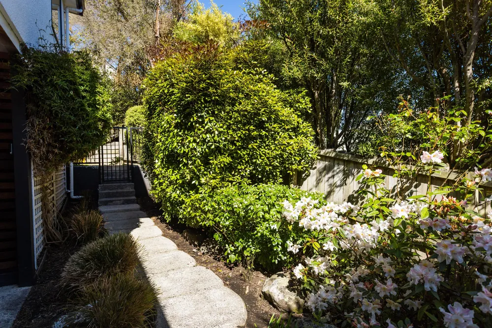 Photos of 170 Somerville Street