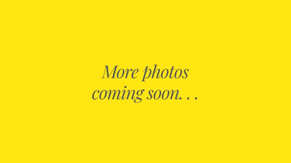 Photos of 31 Tilberg Street