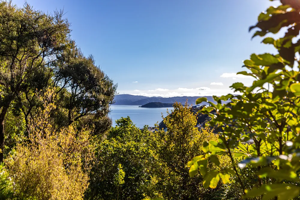 Photos of 17 Korimako Road